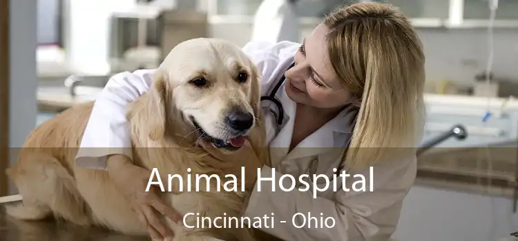 Animal Hospital Cincinnati - Ohio