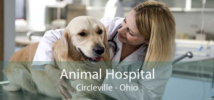 Animal Hospital Circleville - Ohio