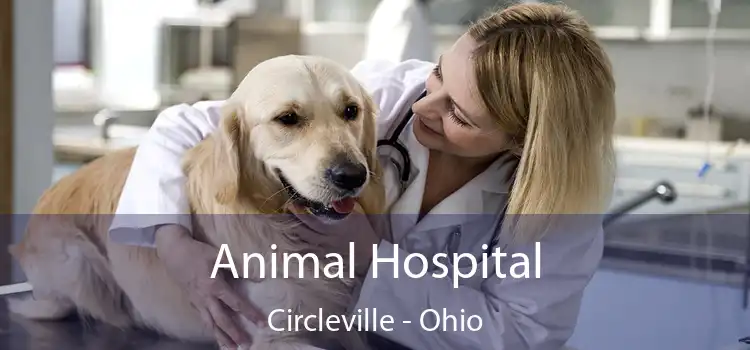 Animal Hospital Circleville - Ohio