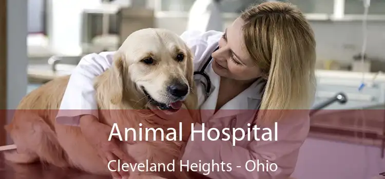 Animal Hospital Cleveland Heights - Ohio