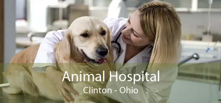 Animal Hospital Clinton - Ohio