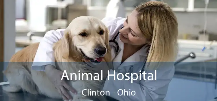 Animal Hospital Clinton - Ohio