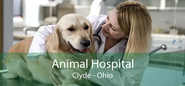 Animal Hospital Clyde - Ohio