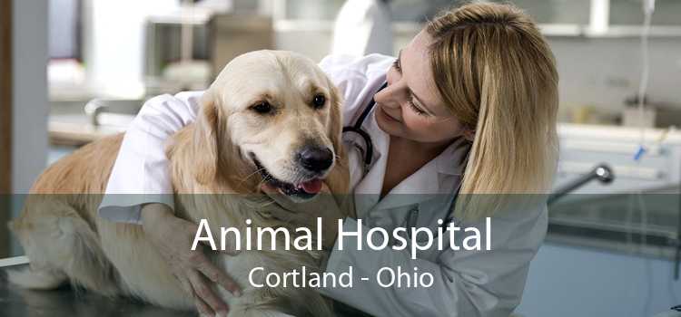 Animal Hospital Cortland - Ohio