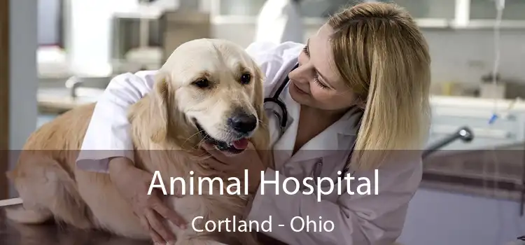 Animal Hospital Cortland - Ohio