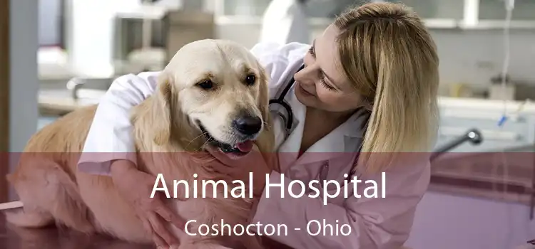 Animal Hospital Coshocton - Ohio