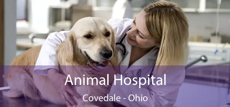 Animal Hospital Covedale - Ohio