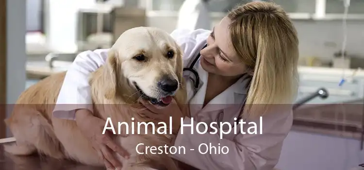 Animal Hospital Creston - Ohio
