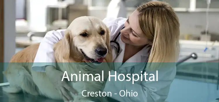 Animal Hospital Creston - Ohio