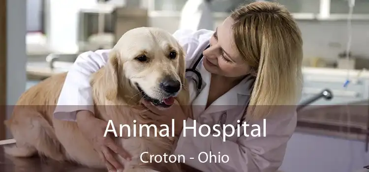 Animal Hospital Croton - Ohio