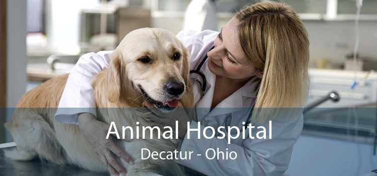 Animal Hospital Decatur - Ohio