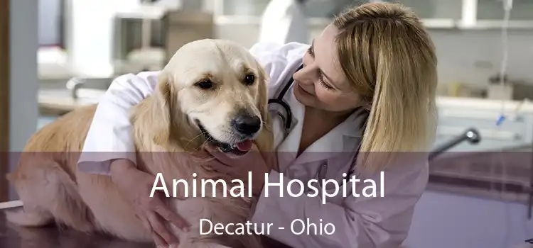 Animal Hospital Decatur - Ohio