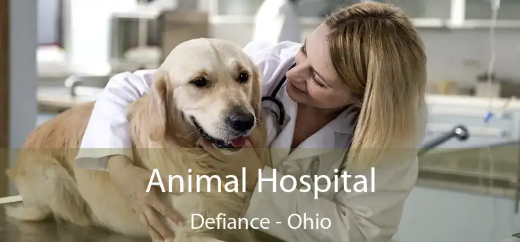 Animal Hospital Defiance - Ohio