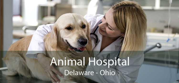 Animal Hospital Delaware - Ohio