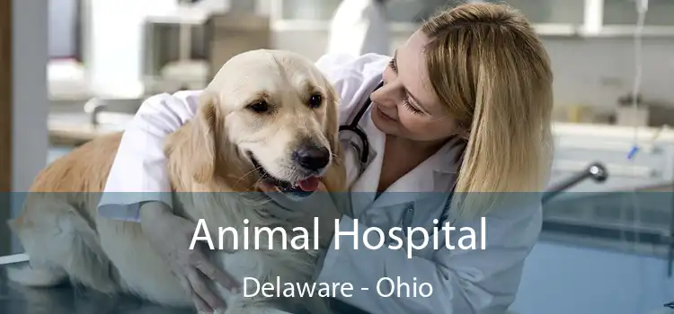 Animal Hospital Delaware - Ohio