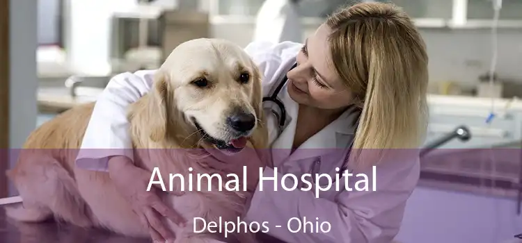 Animal Hospital Delphos - Ohio