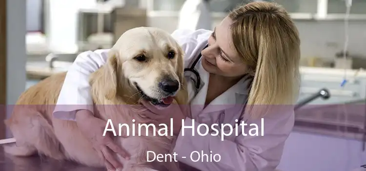 Animal Hospital Dent - Ohio