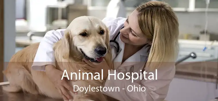 Animal Hospital Doylestown - Ohio