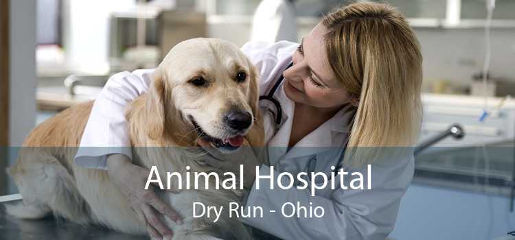 Animal Hospital Dry Run - Ohio