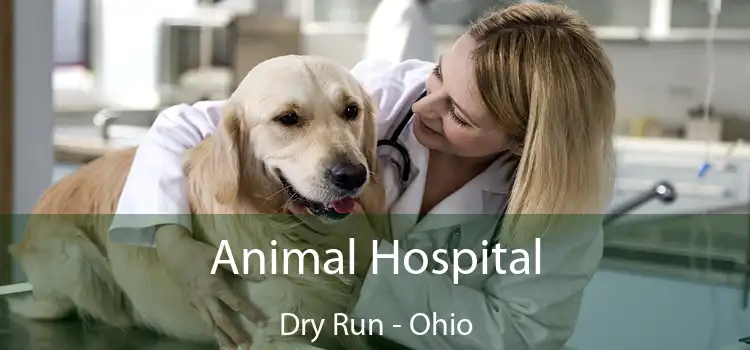 Animal Hospital Dry Run - Ohio