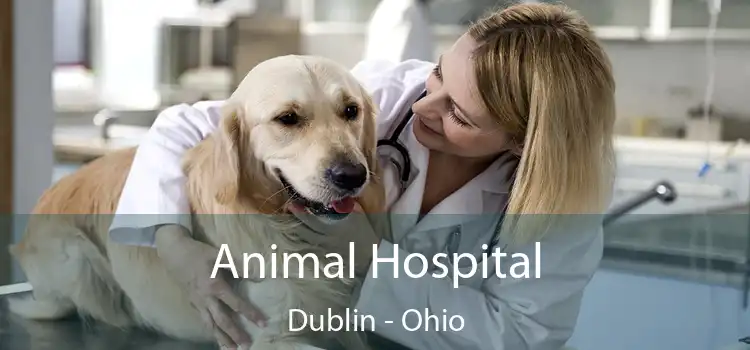 Animal Hospital Dublin - Ohio