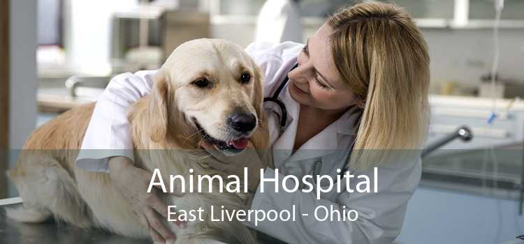 Animal Hospital East Liverpool - Ohio