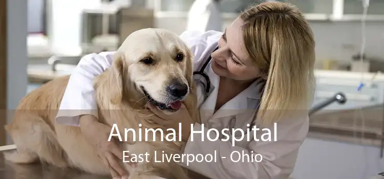 Animal Hospital East Liverpool - Ohio