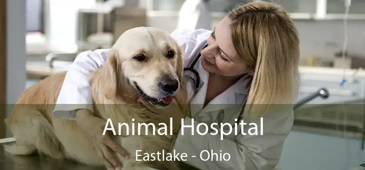 Animal Hospital Eastlake - Ohio