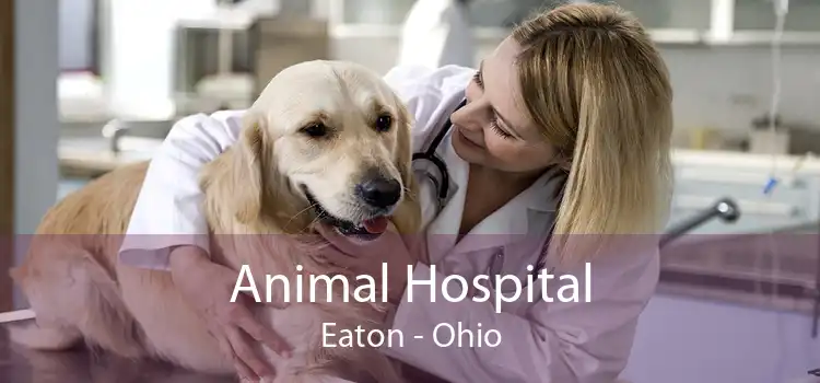 Animal Hospital Eaton - Ohio