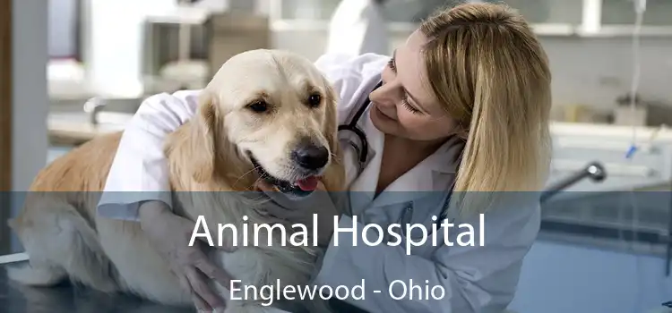 Animal Hospital Englewood - Ohio