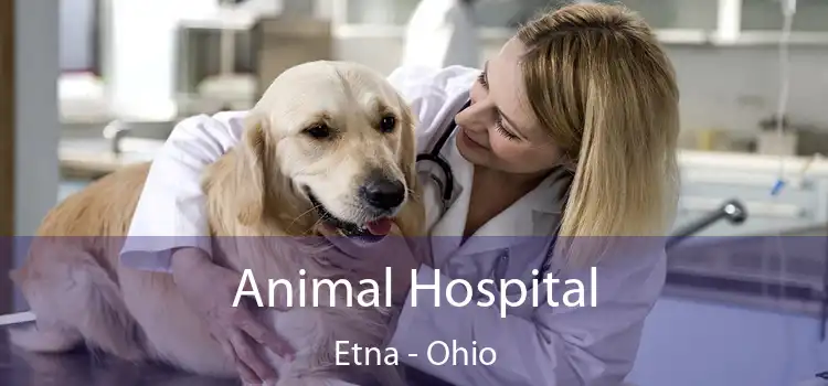 Animal Hospital Etna - Ohio