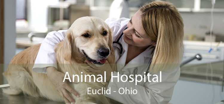 Animal Hospital Euclid - Ohio