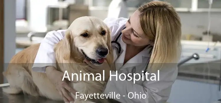 Animal Hospital Fayetteville - Ohio