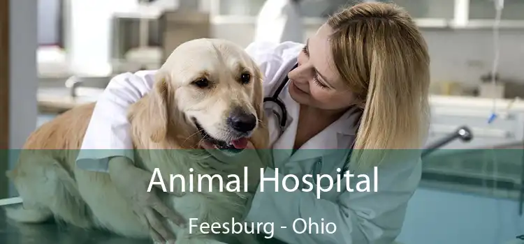 Animal Hospital Feesburg - Ohio