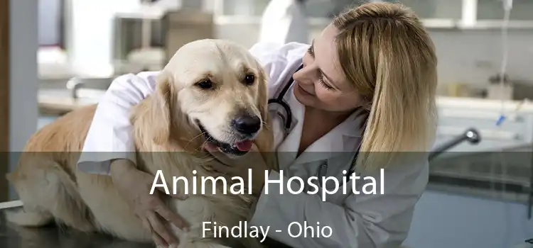 Animal Hospital Findlay - Ohio