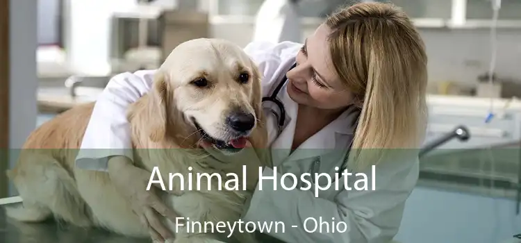 Animal Hospital Finneytown - Ohio