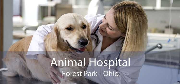 Animal Hospital Forest Park - Ohio