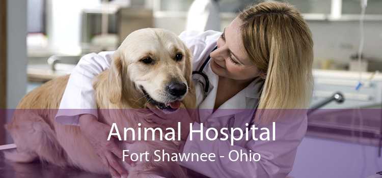 Animal Hospital Fort Shawnee - Ohio