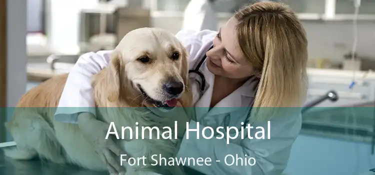 Animal Hospital Fort Shawnee - Ohio