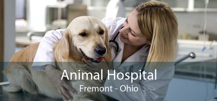 Animal Hospital Fremont - Ohio