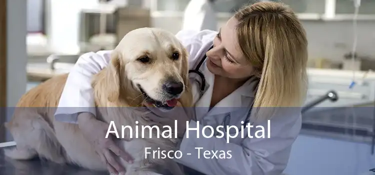 Animal Hospital Frisco - Texas
