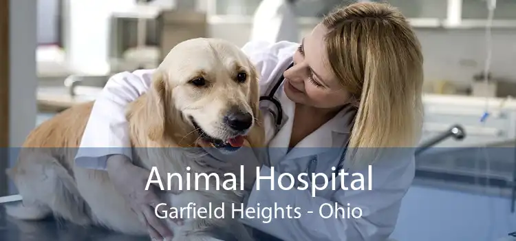 Animal Hospital Garfield Heights - Ohio