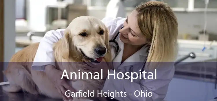 Animal Hospital Garfield Heights - Ohio