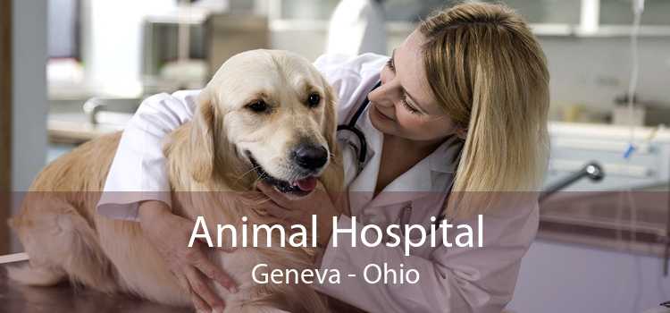 Animal Hospital Geneva - Ohio