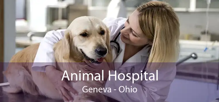 Animal Hospital Geneva - Ohio