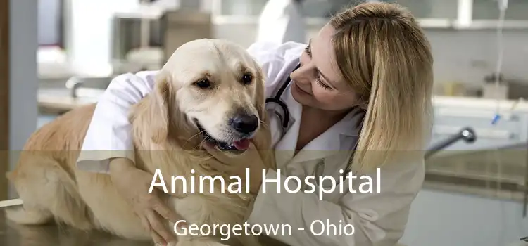 Animal Hospital Georgetown - Ohio