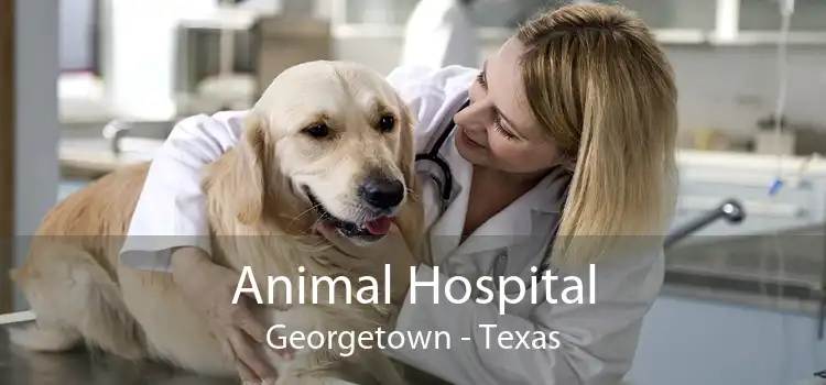 Animal Hospital Georgetown - Texas
