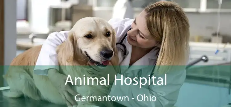 Animal Hospital Germantown - Ohio