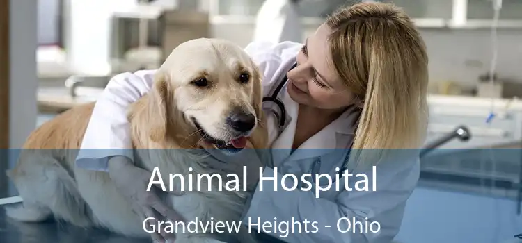 Animal Hospital Grandview Heights - Ohio