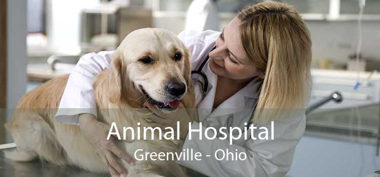 Animal Hospital Greenville - Ohio